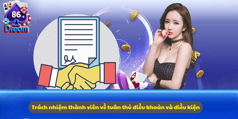 Trách nhiệm thành viên về tuân thủ điều khoản và điều kiện